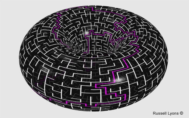 Maze on a Torus